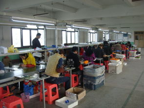 計算器 從電子產品到生活工具——以莆田市涵江區新怡塑料制品加工廠為視角