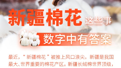 度娘極速版app下載