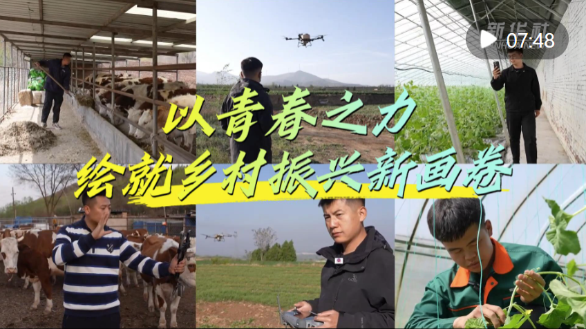 洪恩兒童英語2026家庭版下載