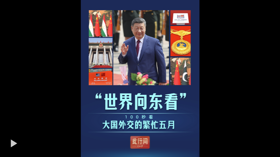 寵胖胖APP下載