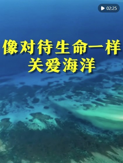 墨墨背單詞手機版下載